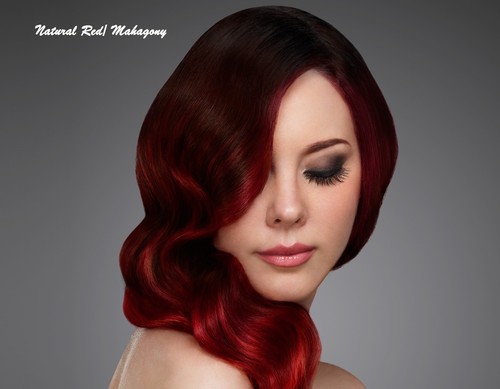 Henna hair dye - dye, color